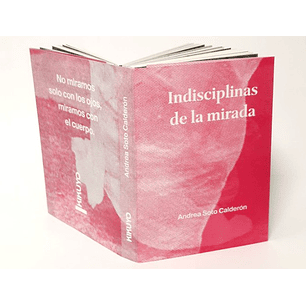 Indisciplinas De La Mirada