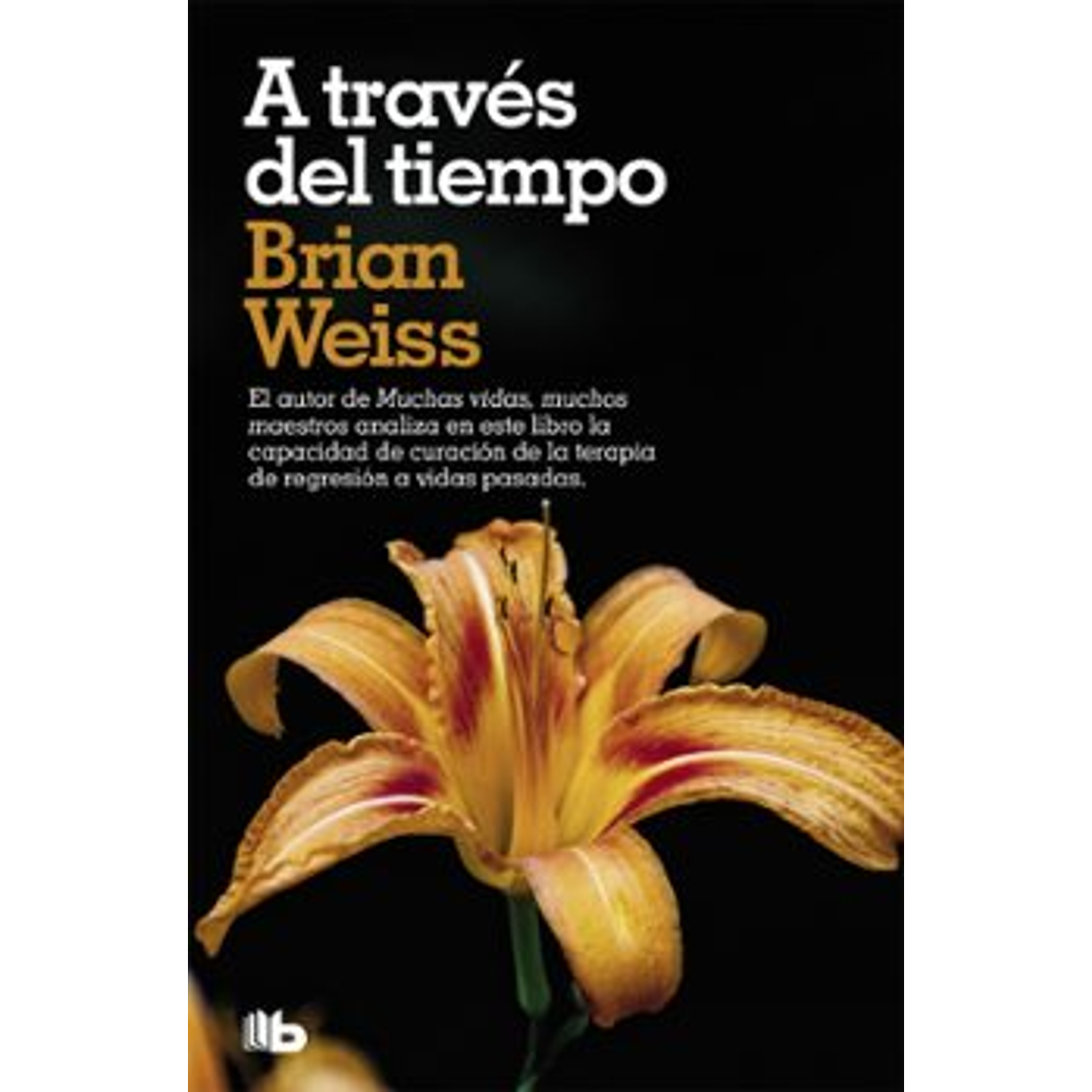 A Través Del Tiempo