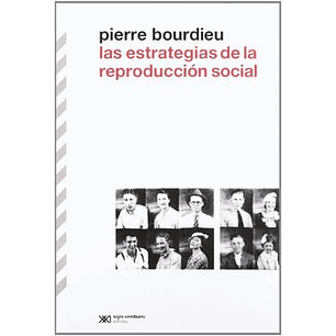 Estrategias De La Reproducción Social