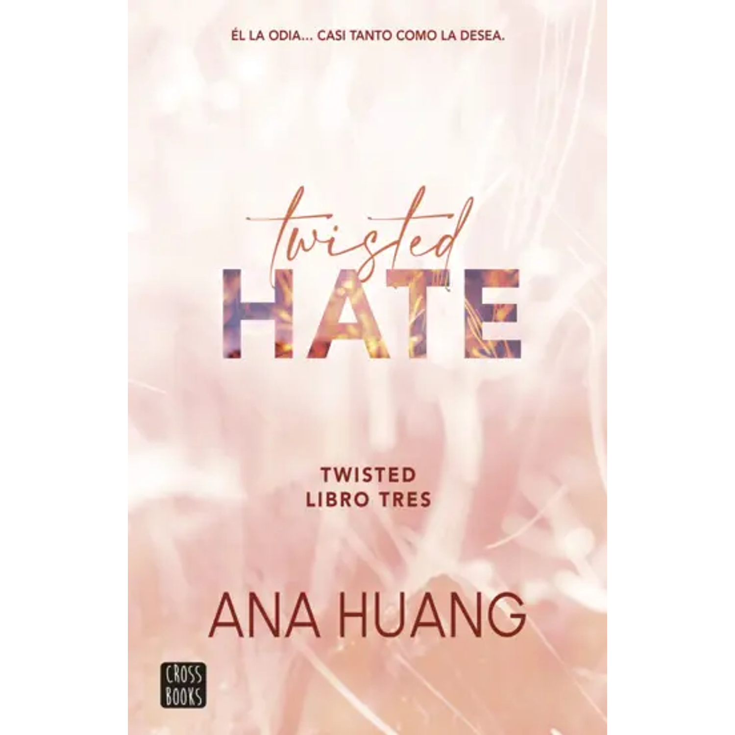 Twisted 3 Twisted Hate (Booket)