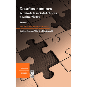 Desafíos Comunes. Retrato De La Sociedad Chilena Y Sus Individuos. Tomo Ii