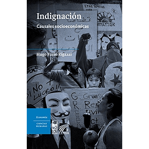 Indignacion Causales Socioeconomicas