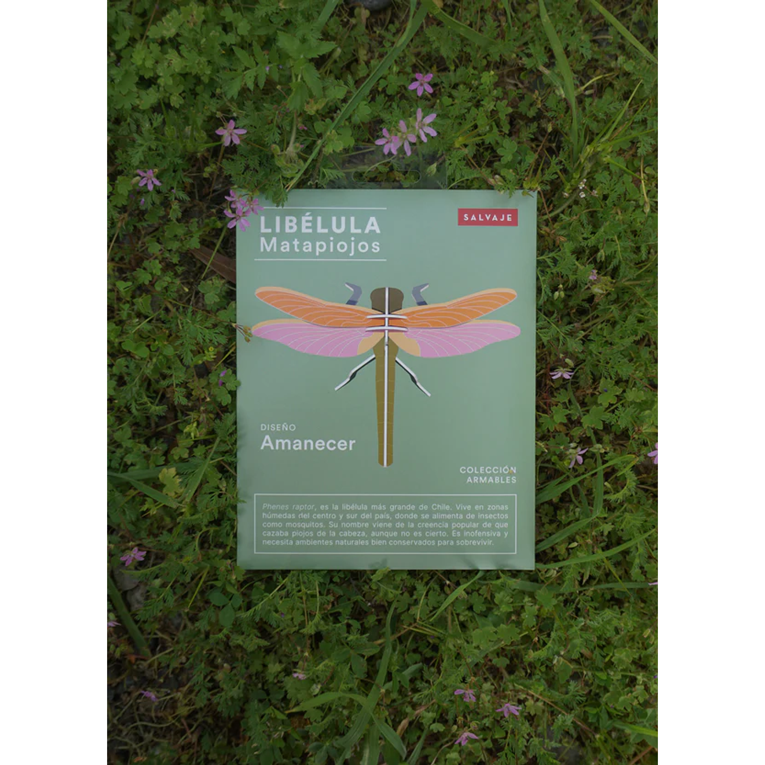 Armable Libélula Matapiojos Amanecer