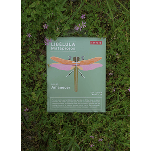 Armable Libélula Matapiojos Amanecer
