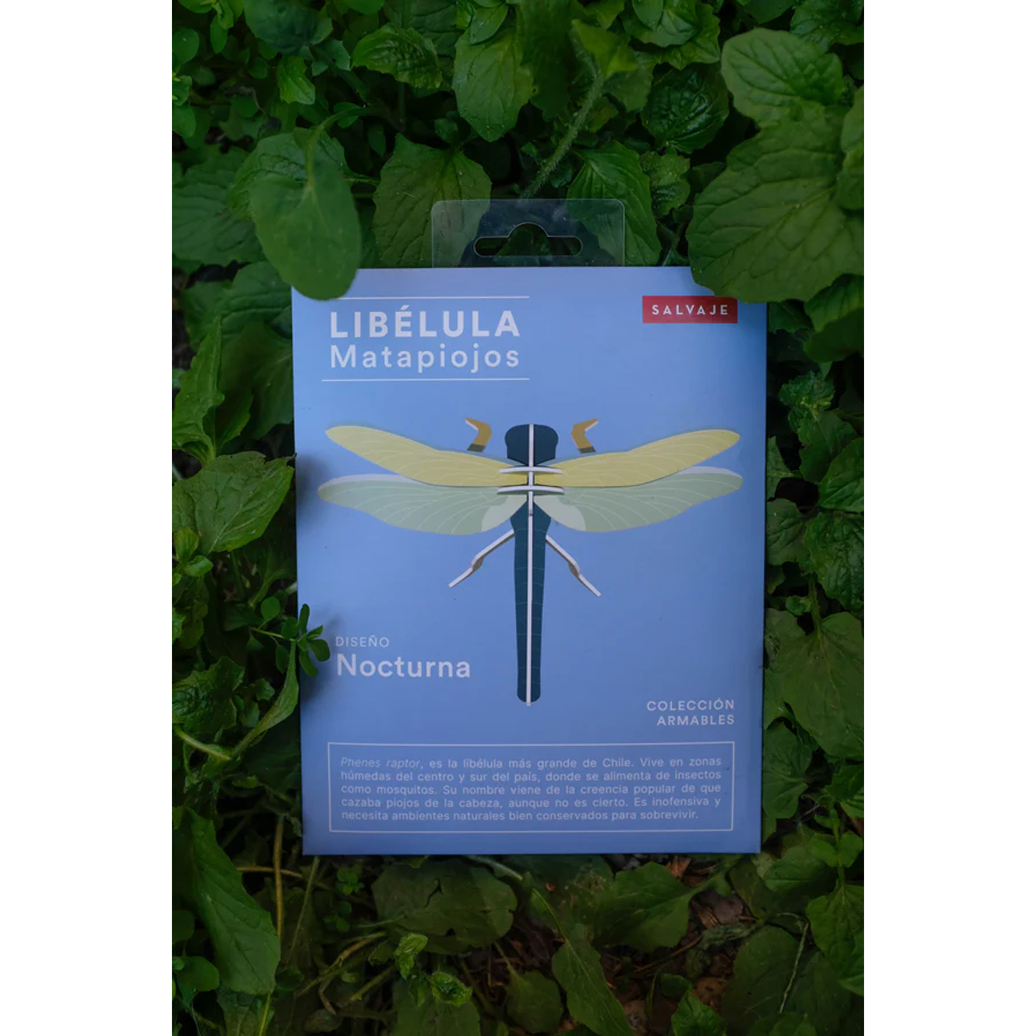 Armable Libélula Matapiojos Nocturna