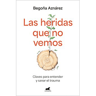 Las Heridas Que No Vemos