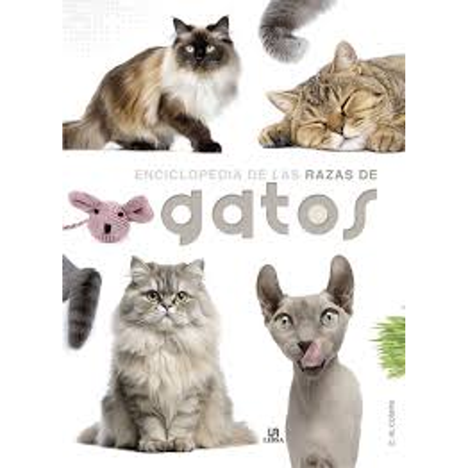 Enciclopedia De Las Razas De Gatos