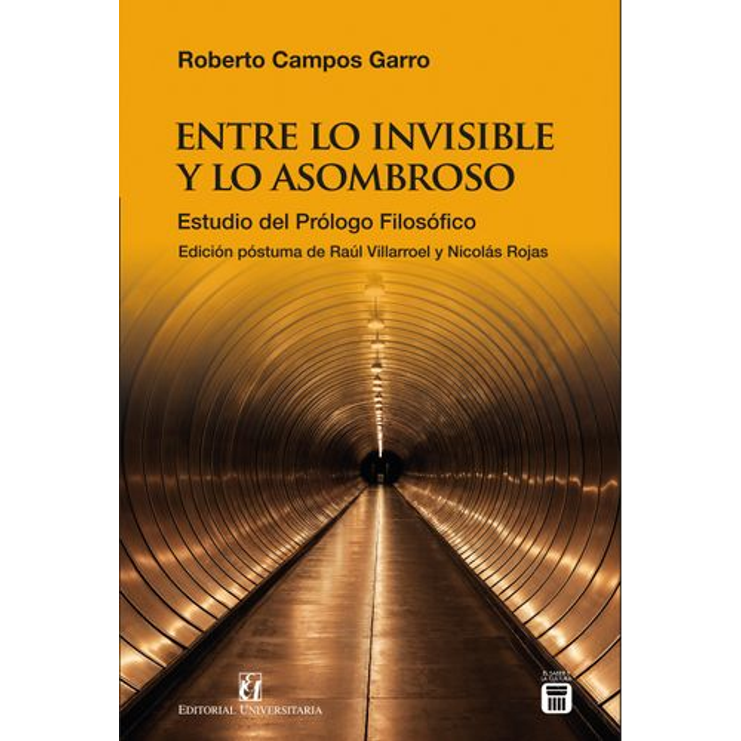 Entre Lo Invisible Y Lo Asombroso