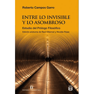 Entre Lo Invisible Y Lo Asombroso