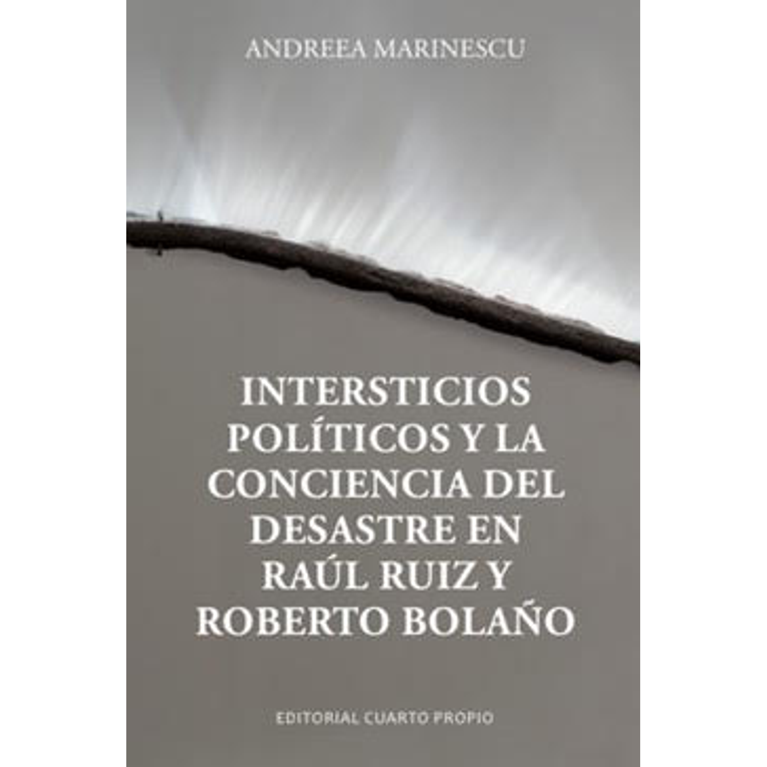 Intersticios Politicos Y La Conciencia Del Desastre En Raul Ruiz Y Roberto Bolaño