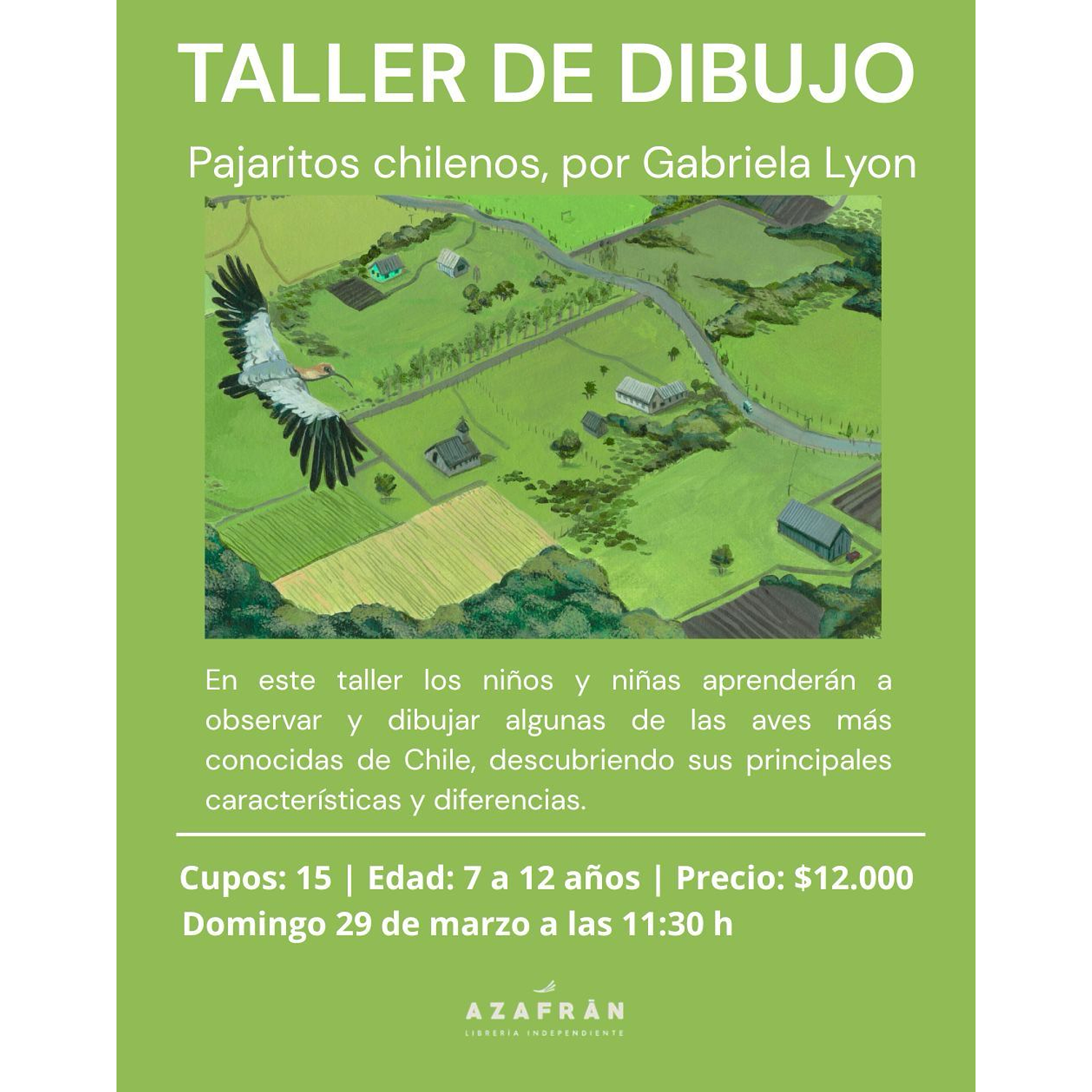 Taller De Dibujo: Pajaritos Chilenos Por Gabriela Lyon