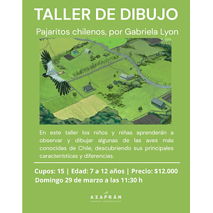 Taller De Dibujo: Pajaritos Chilenos Por Gabriela Lyon