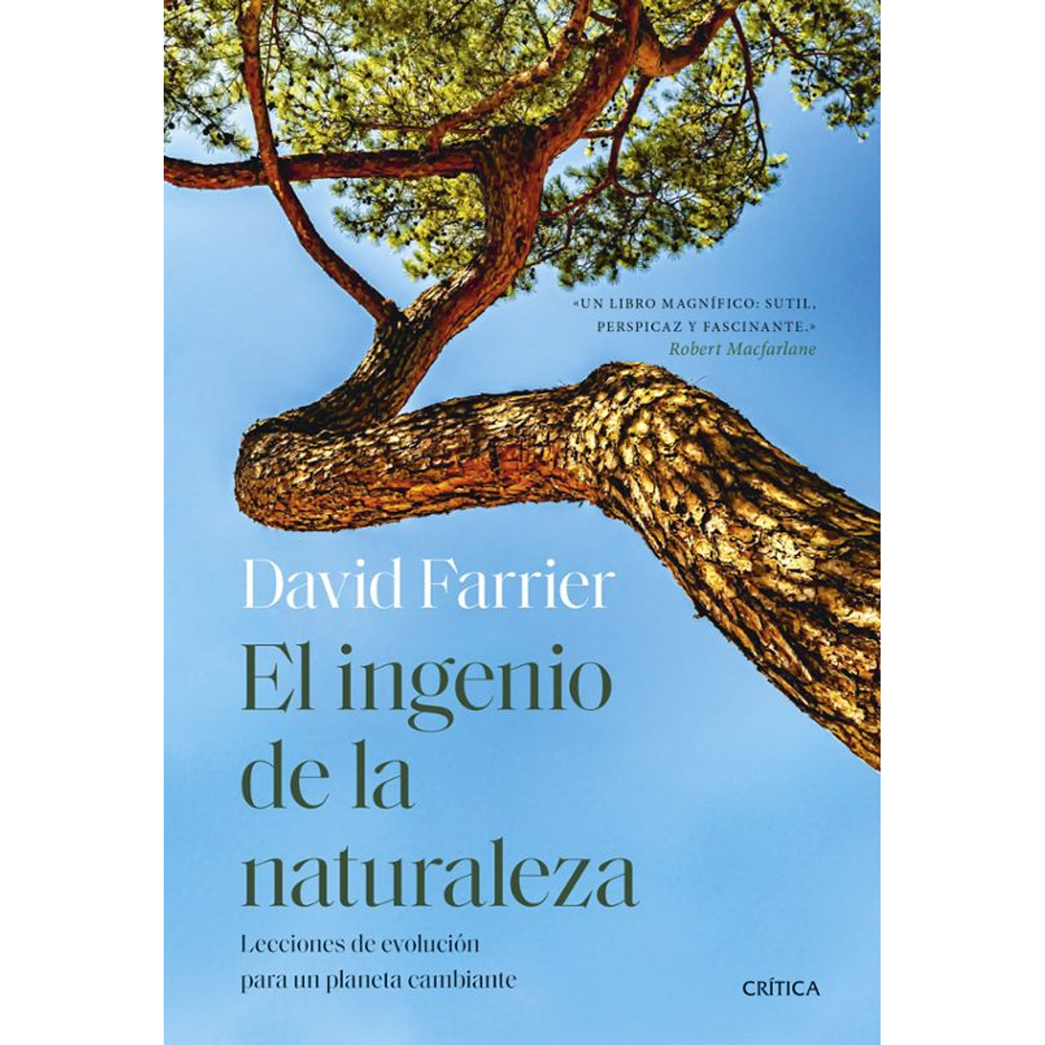 El Ingenio De La Naturaleza