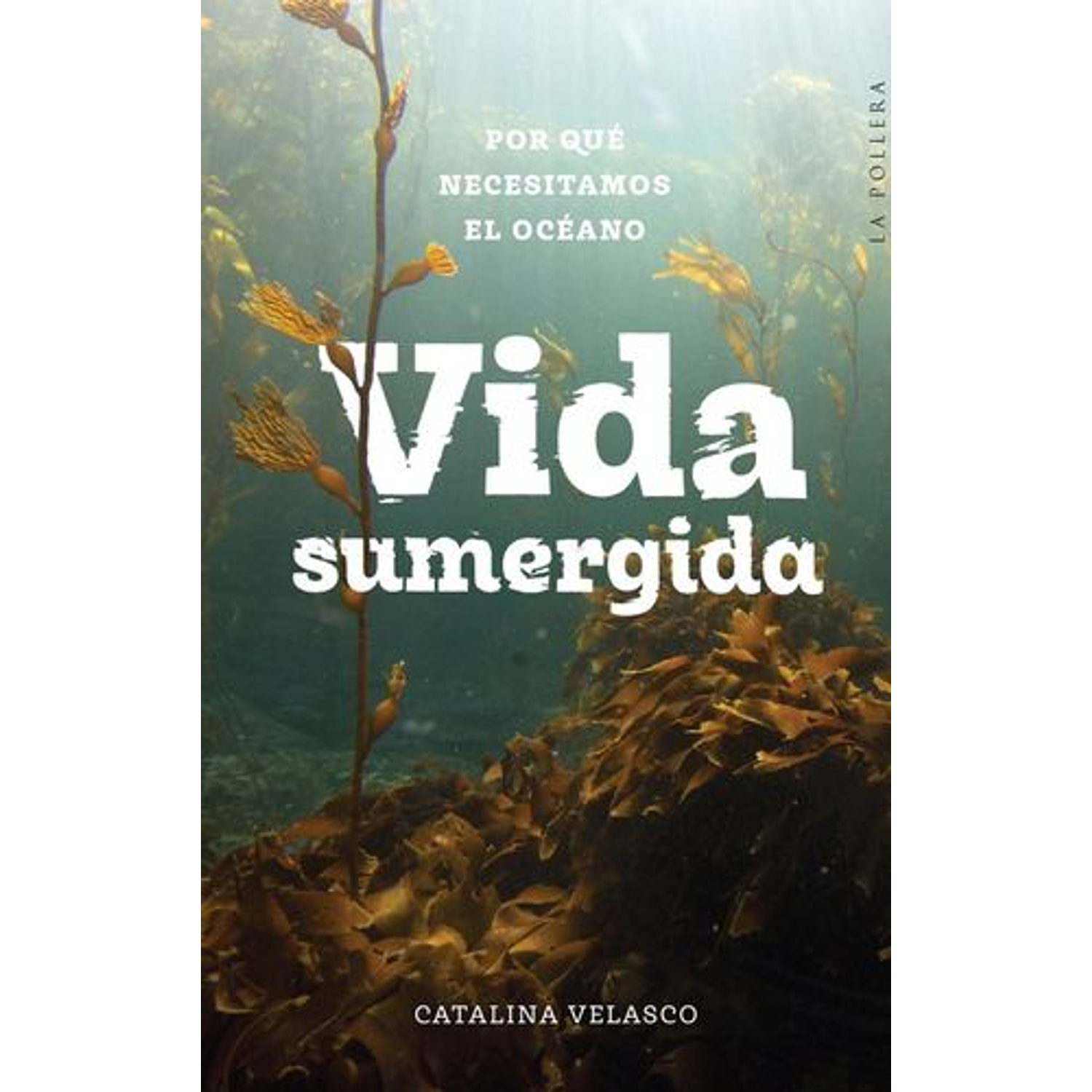 Vida Sumergida - ´Por Qué Necesitamos El Océano