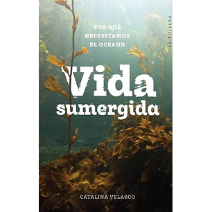Vida Sumergida - ´Por Qué Necesitamos El Océano