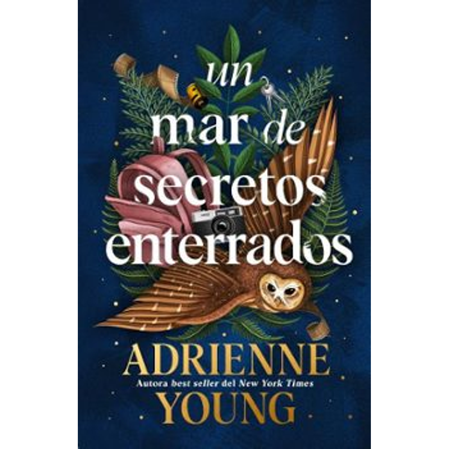 Un Mar De Secretos Enterrados