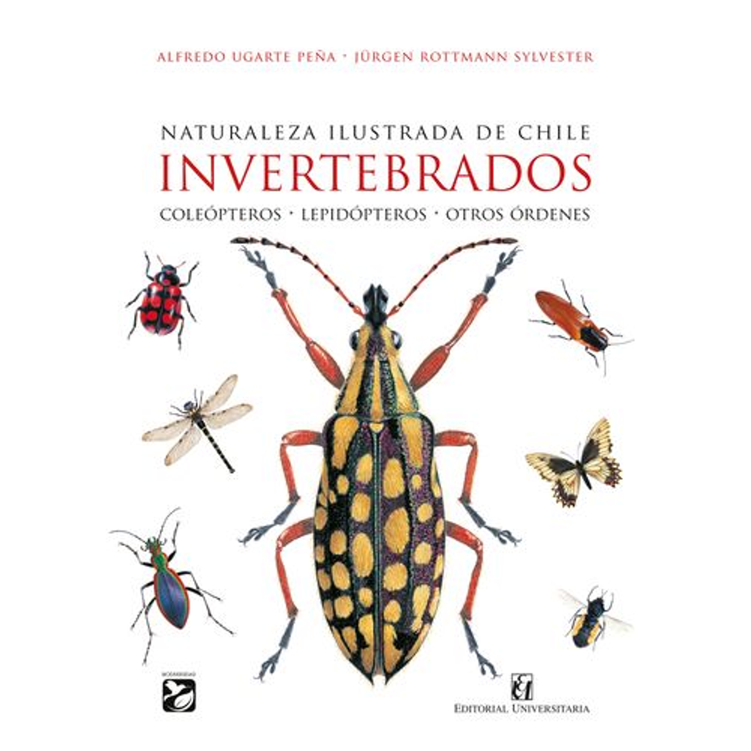 Naturaleza Ilustrada De Chile. Invertebrados