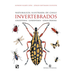 Naturaleza Ilustrada De Chile. Invertebrados
