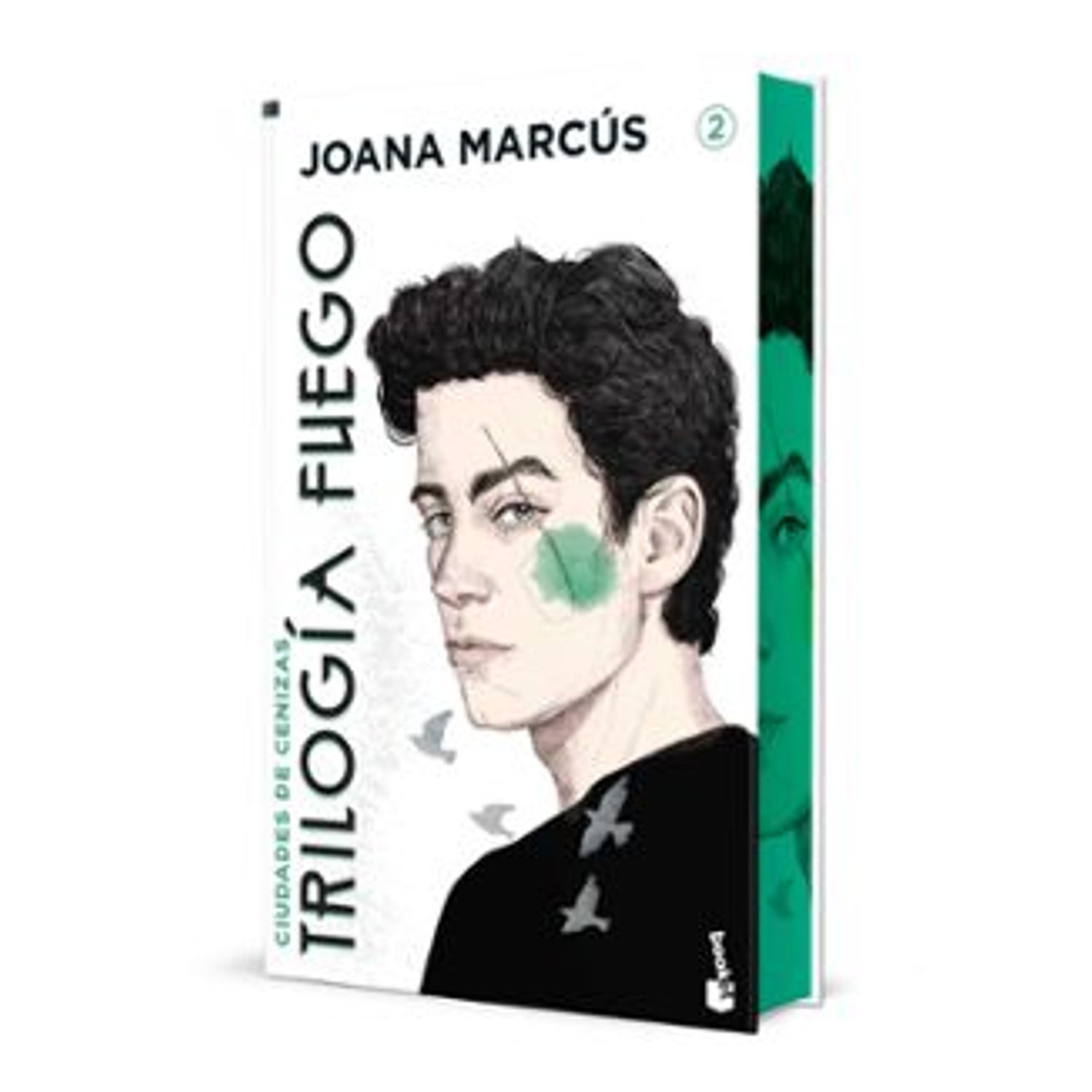 Ciudades De Cenizas Trilogía Fuego Edicion Especial 