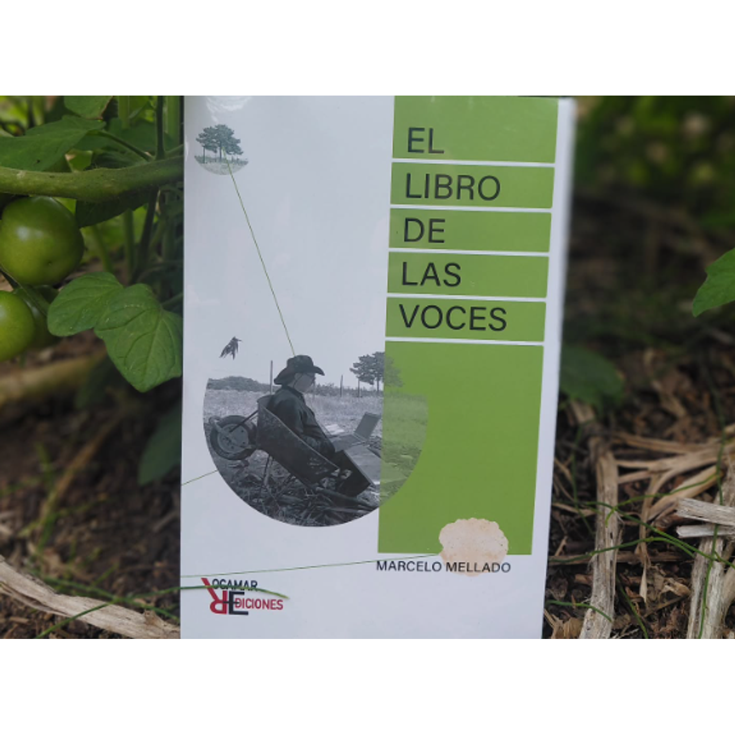 El Libro De Las Voces