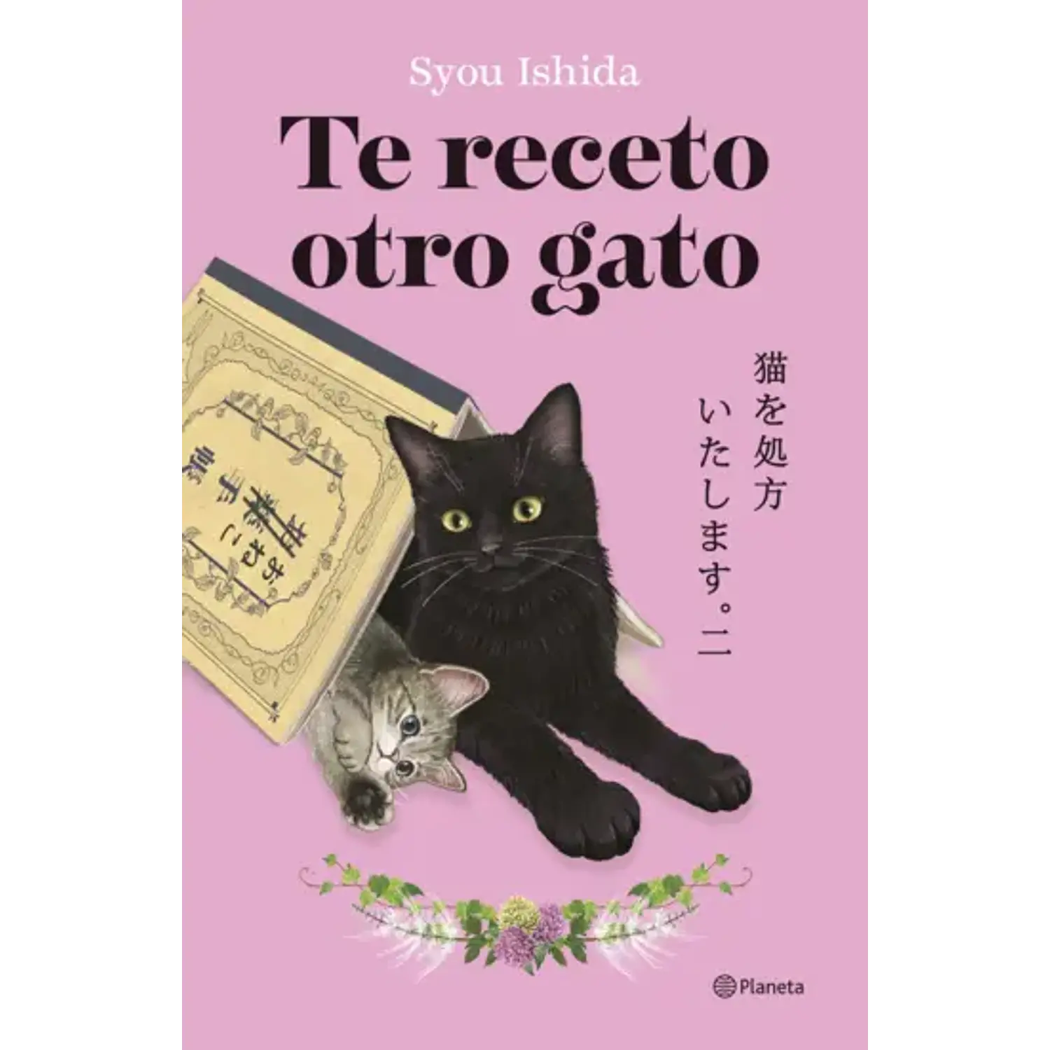 Te Receto Otro Gato