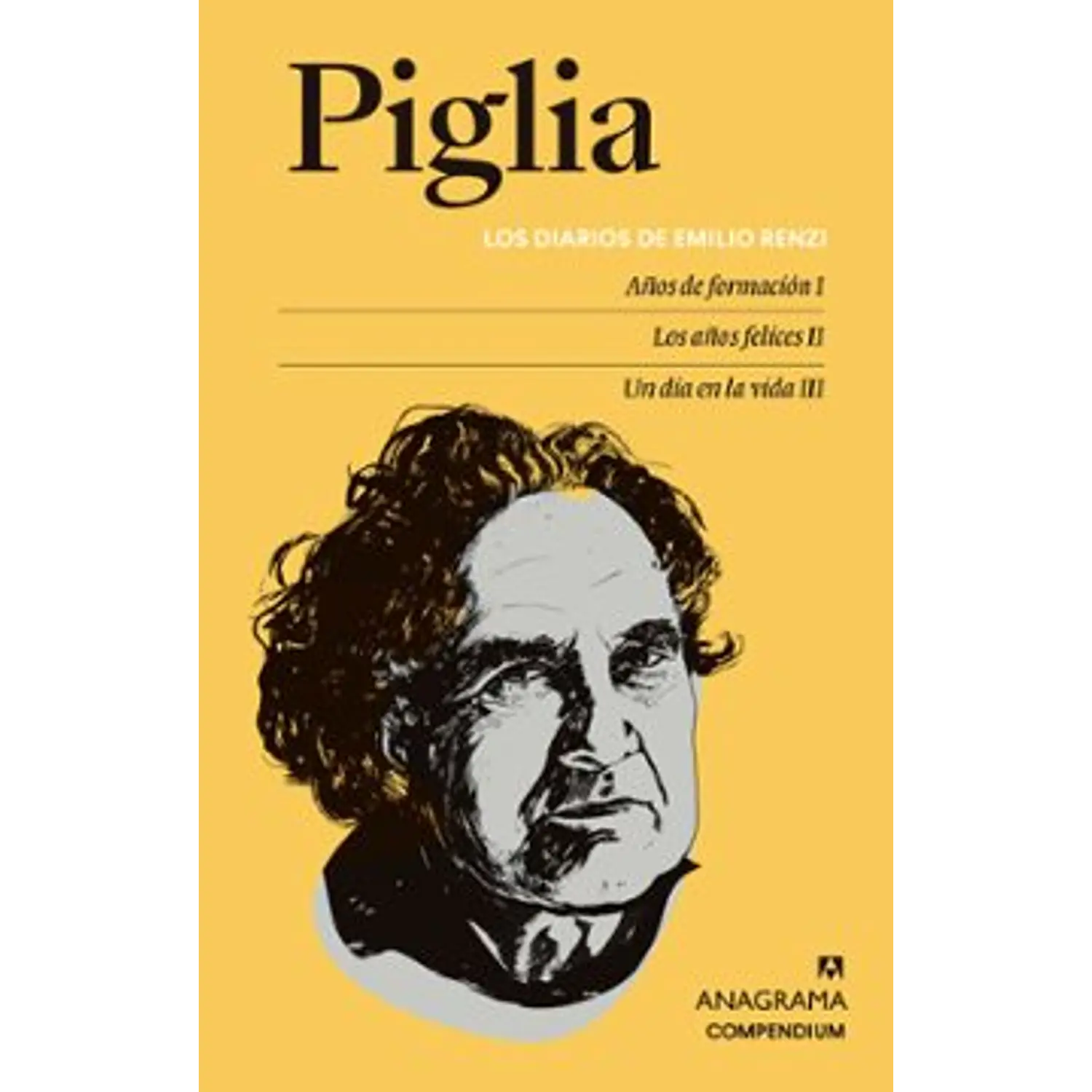 Los Diarios De Emilio Renzi