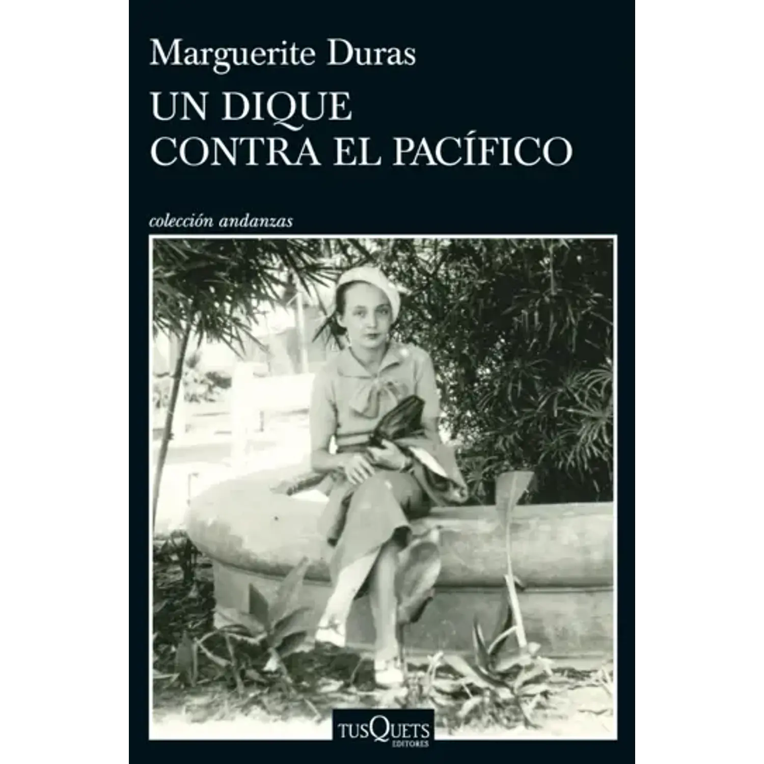 Un Dique Contra El Pacífico