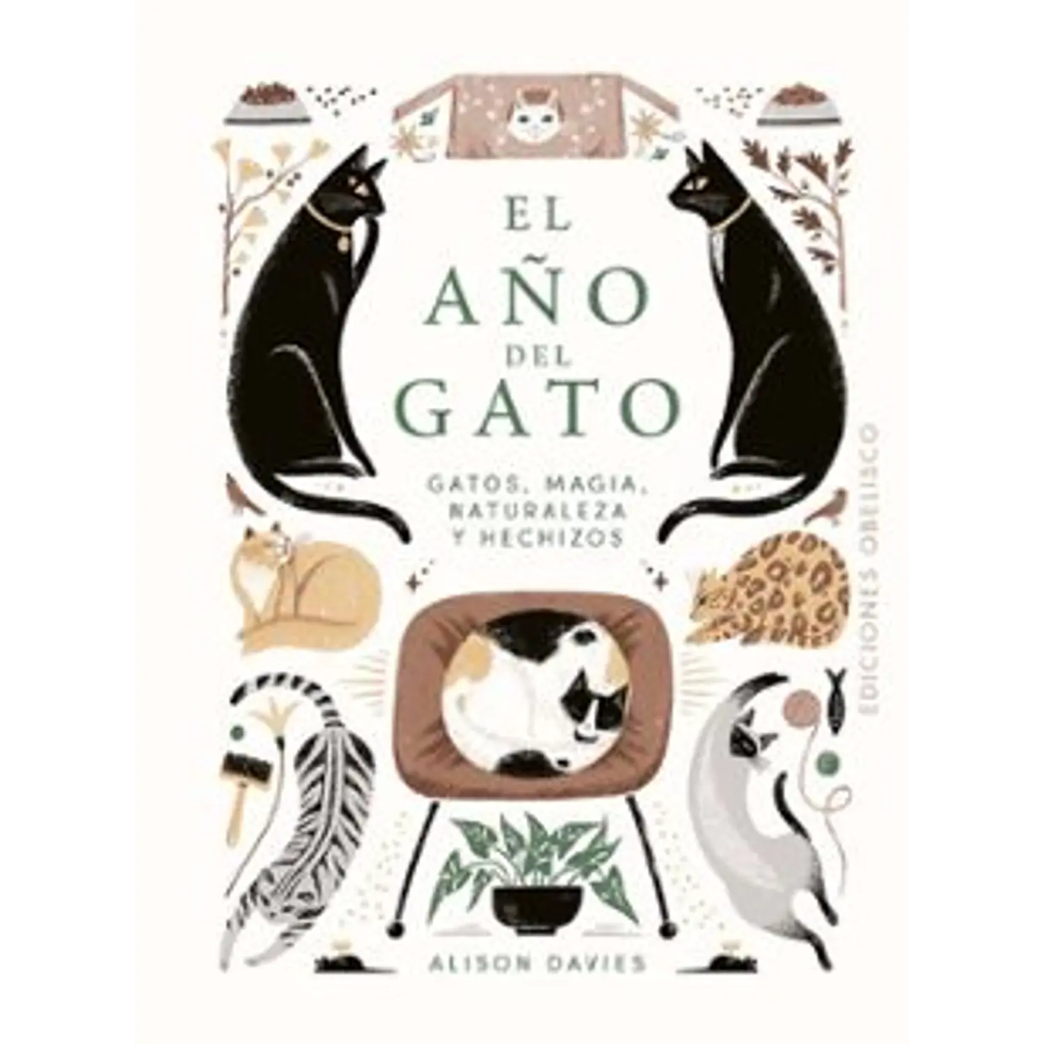 El Año Del Gato