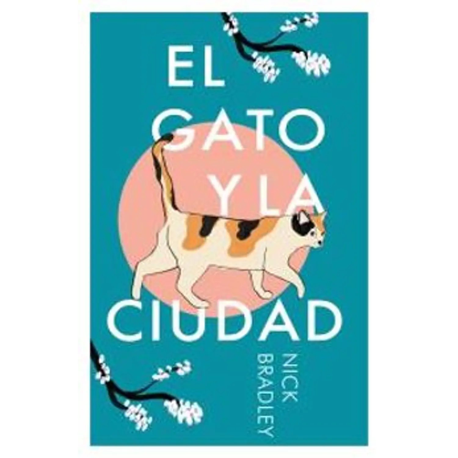 El Gato Y La Ciudad
