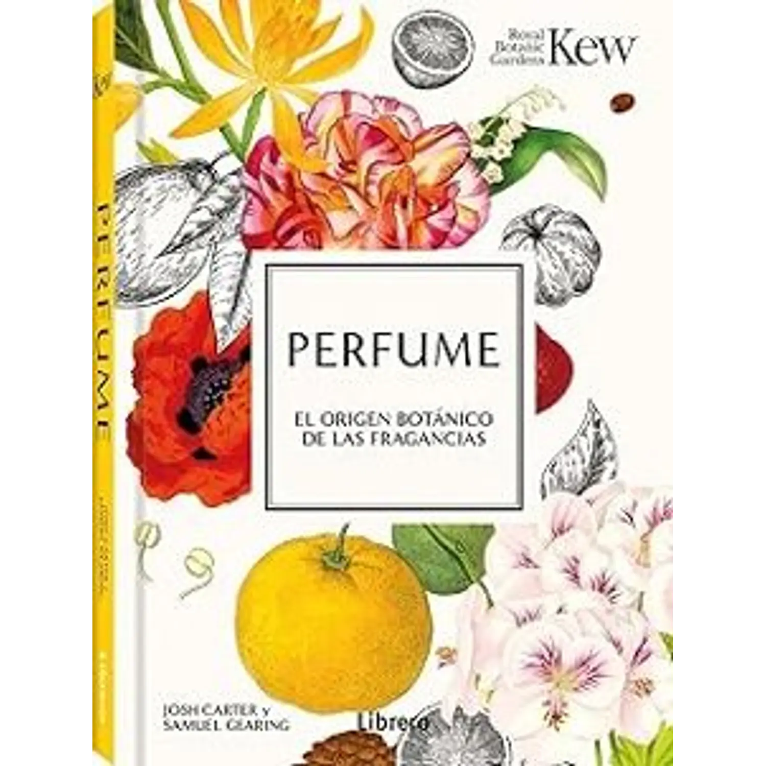 Perfume - El Origen Botánico De Las Fragancias