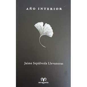 Año Interior 