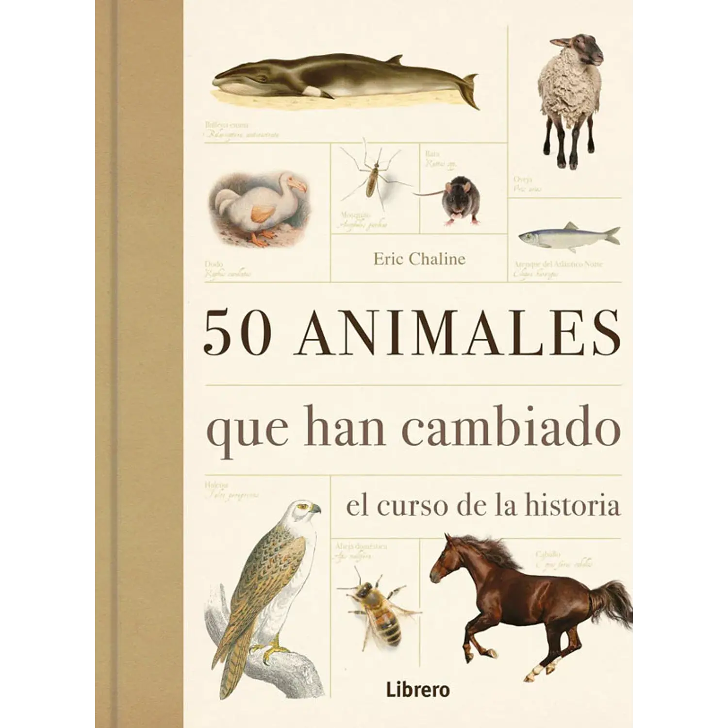 50 Animales Que Han Cambiado El Curso De La Historia 