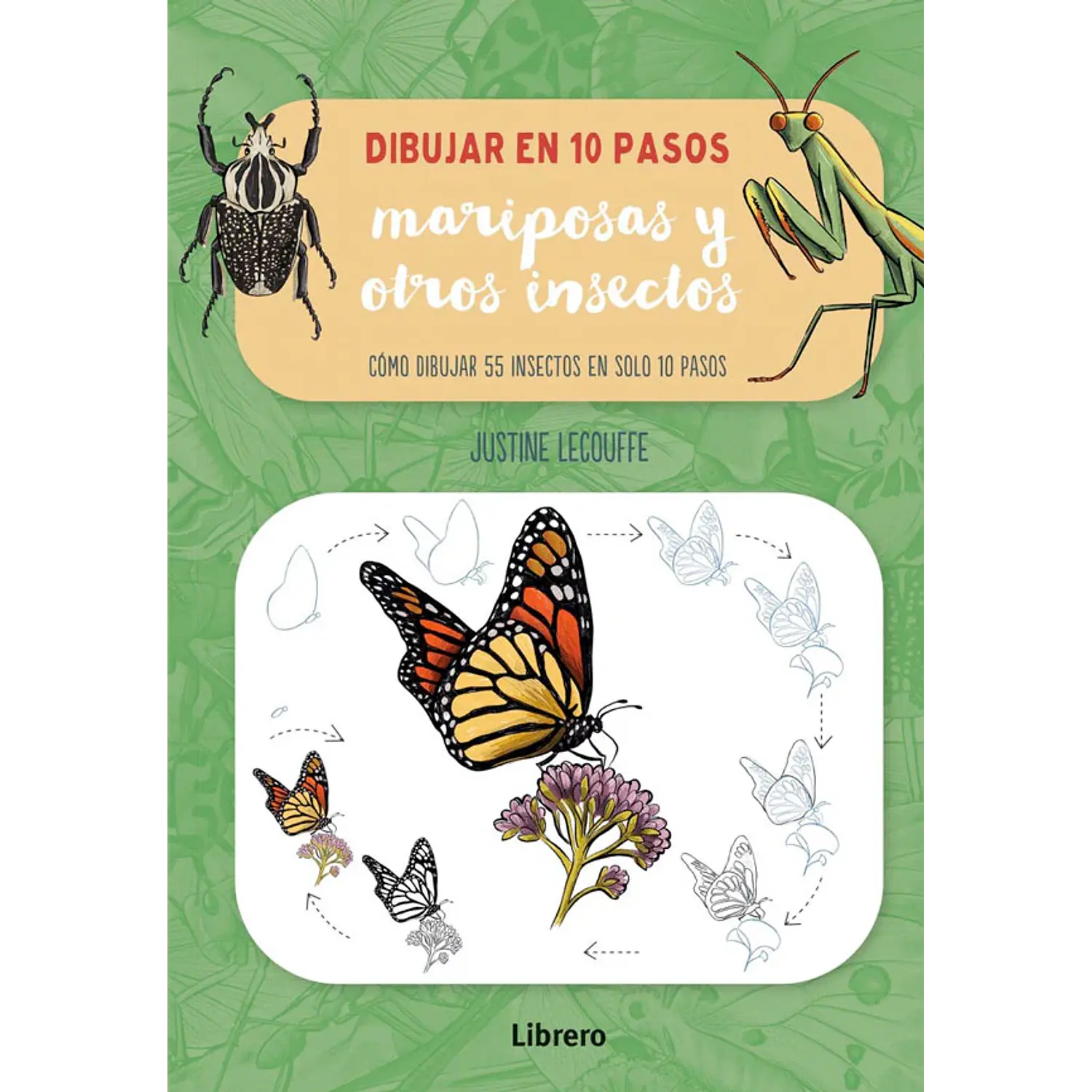 Dibujar En 10 Pasos Mariposas Y Otros Insectos