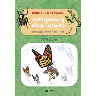 Dibujar En 10 Pasos Mariposas Y Otros Insectos