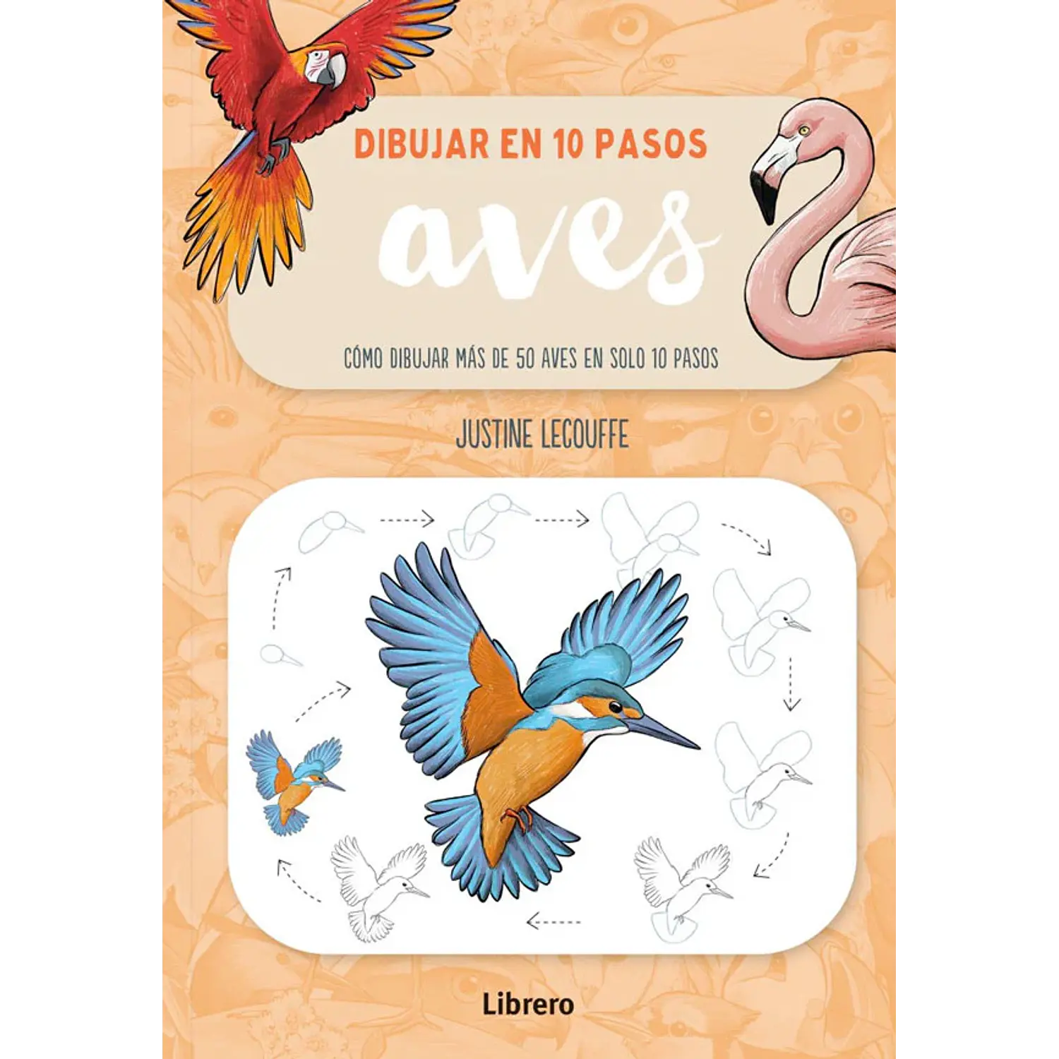 Dibujar En 10 Pasos Aves