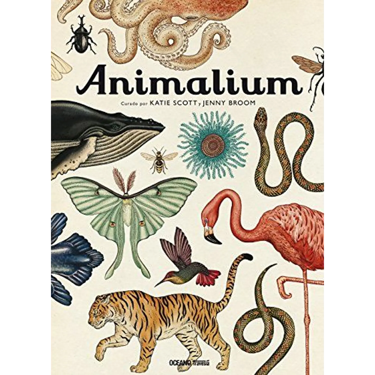 Animalium