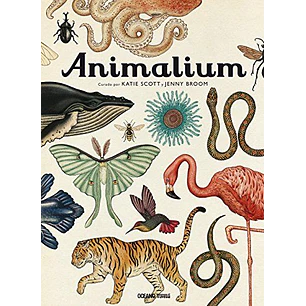 Animalium