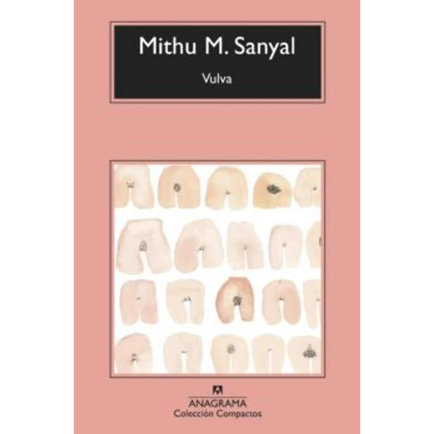 Vulva La Revelación Del Sexo Invisible