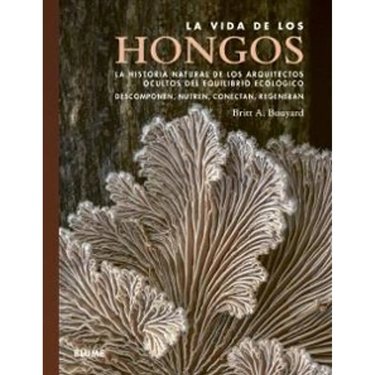 La Vida De Los Hongos