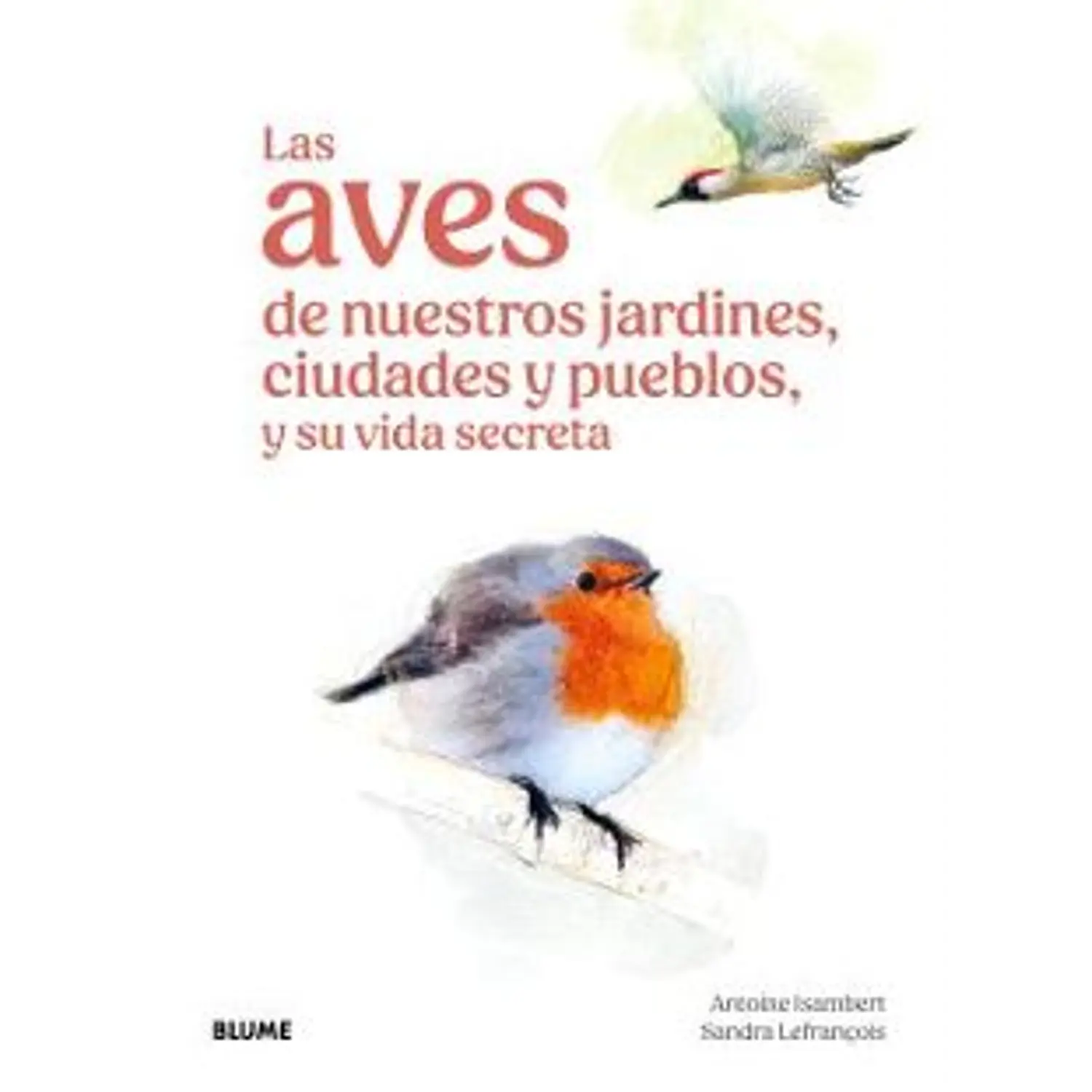 Las Aves De Nuestros Jardines, Ciudades Y Pueblos, Y Su Vida Secreta