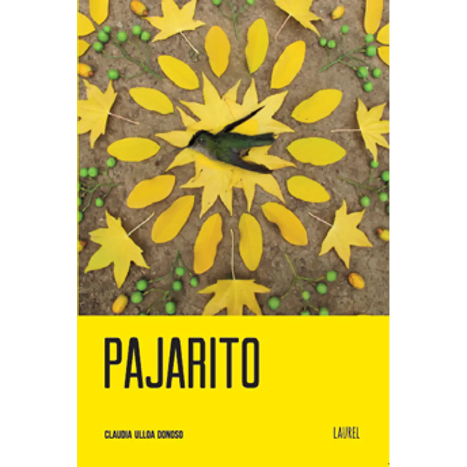 Pajarito