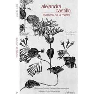 Teorema De La Madre