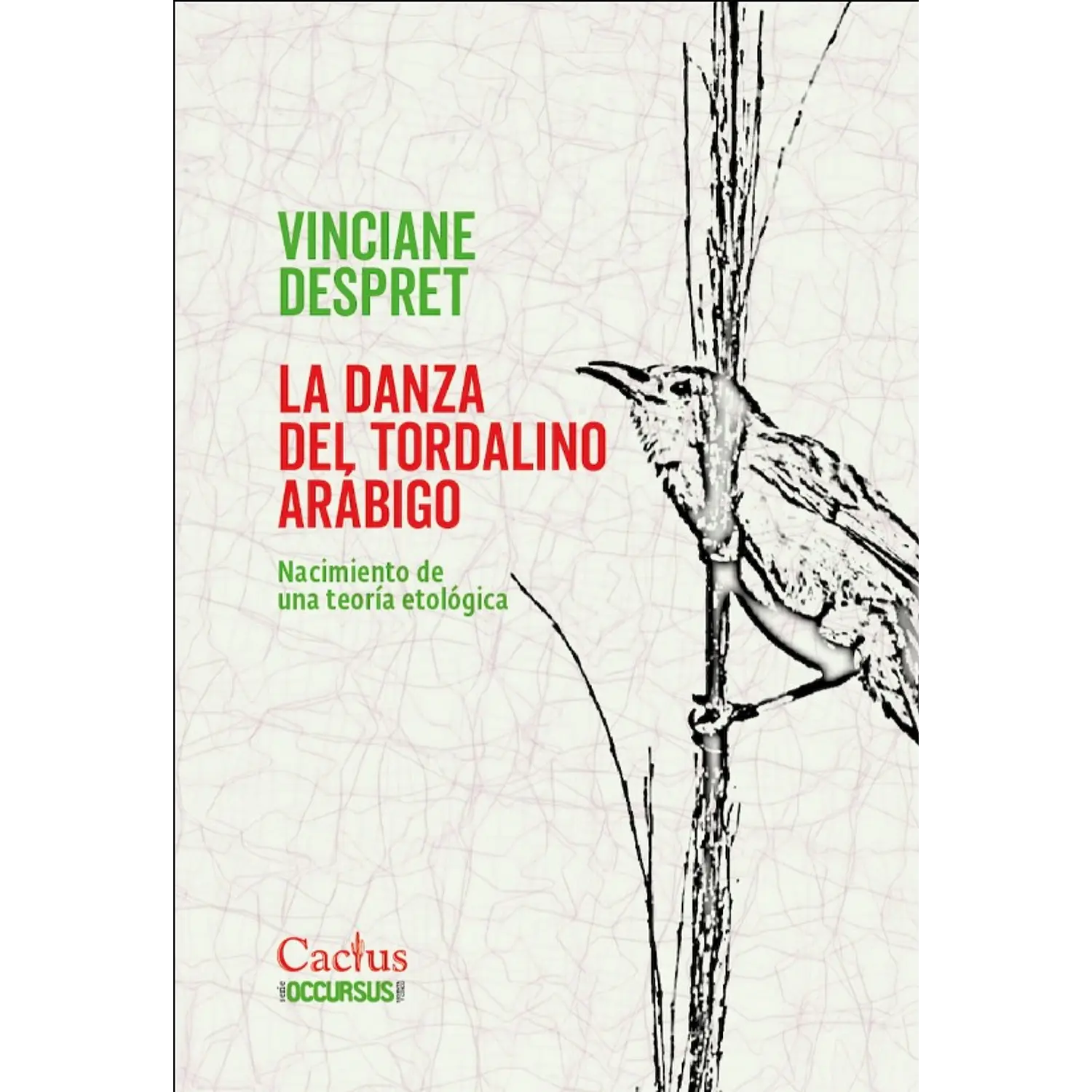La Danza Del Tordalino Arabigo