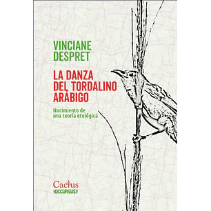 La Danza Del Tordalino Arabigo