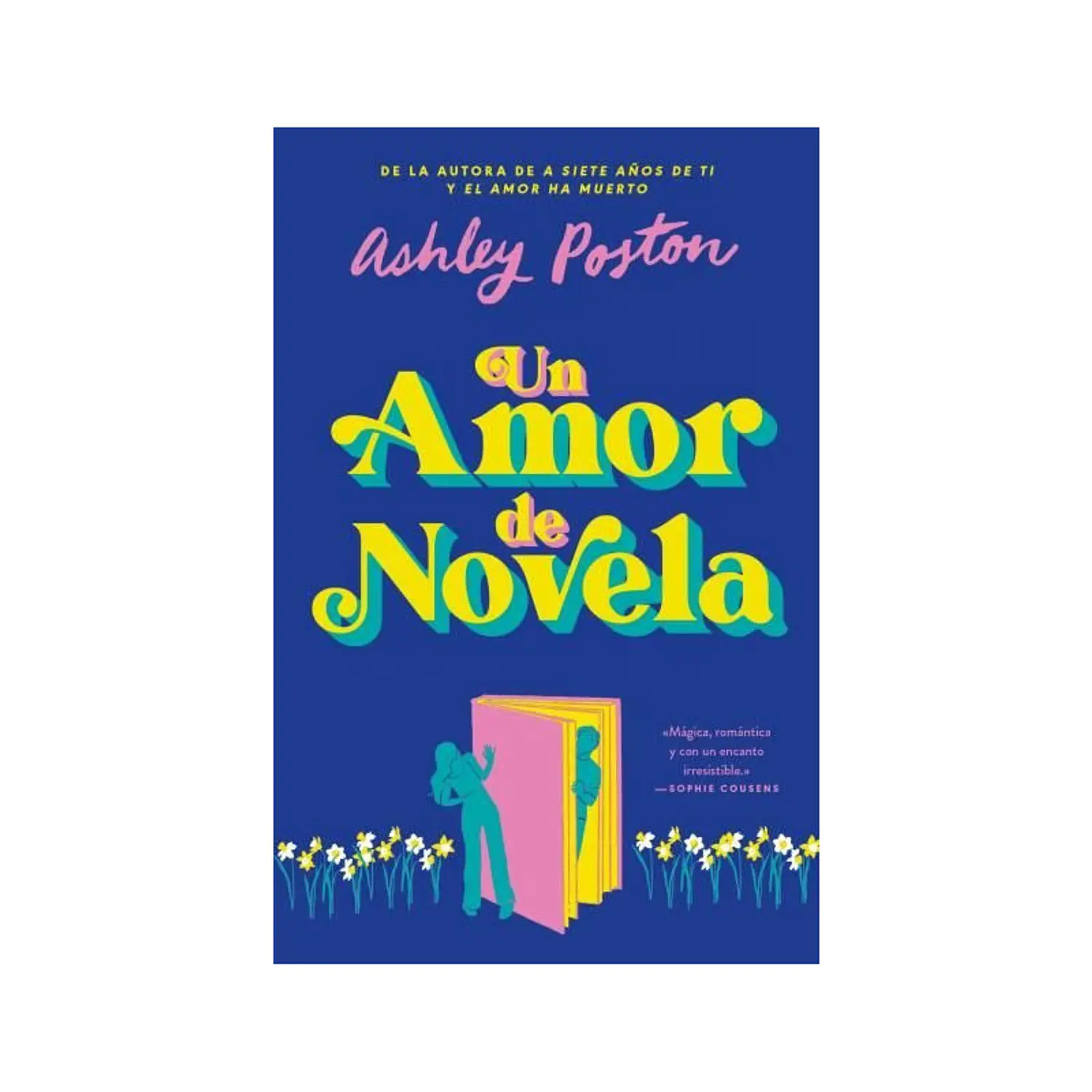 Un Amor De Novela