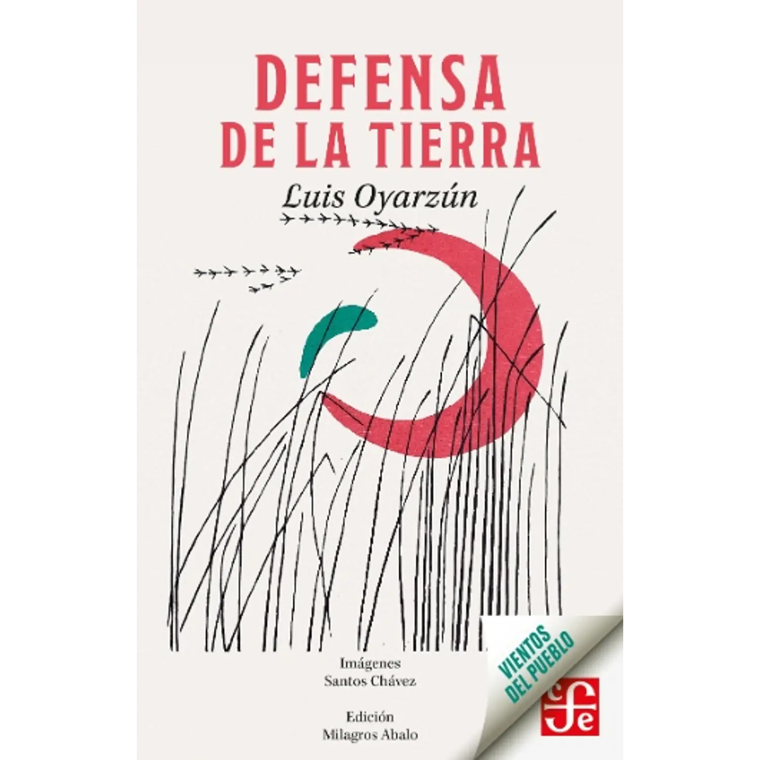Defensa De La Tierra