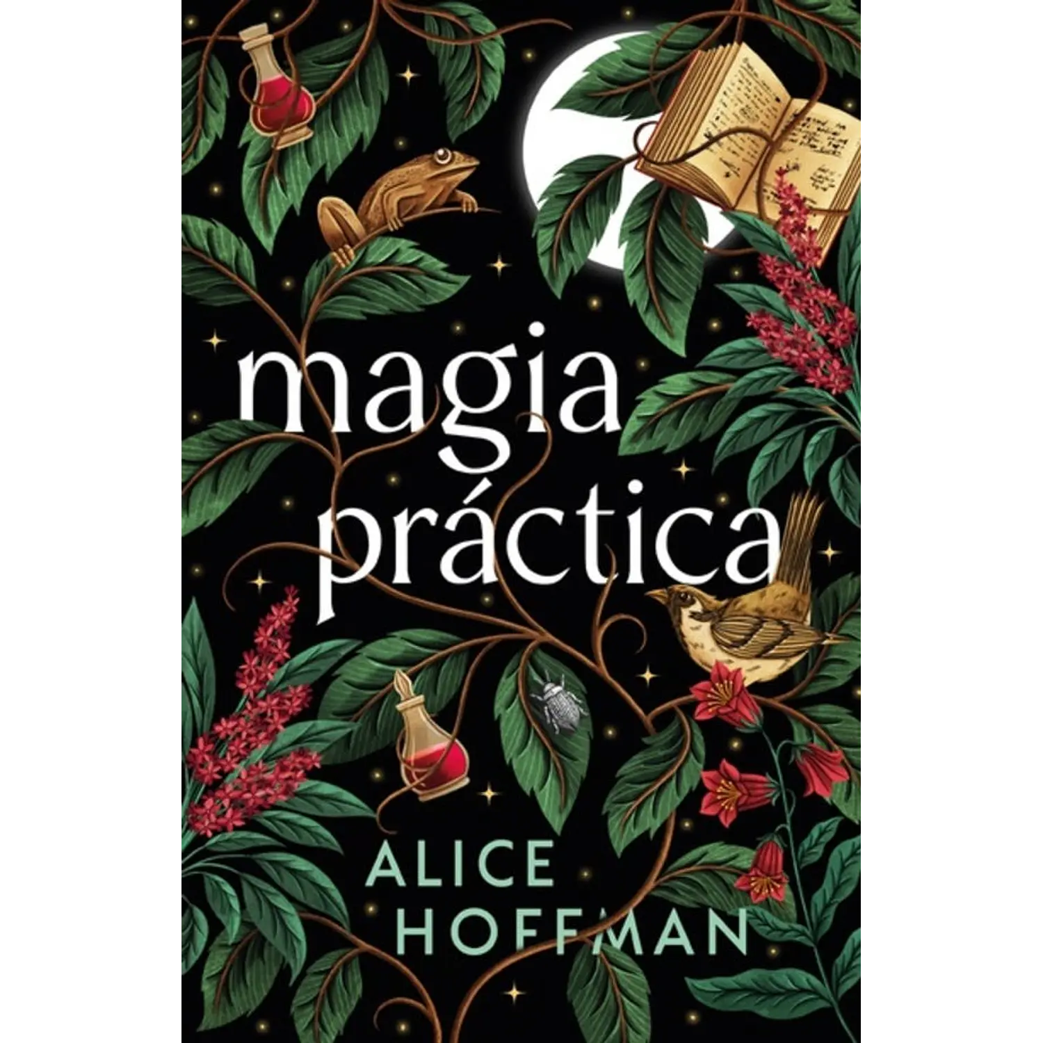 Magia Práctica