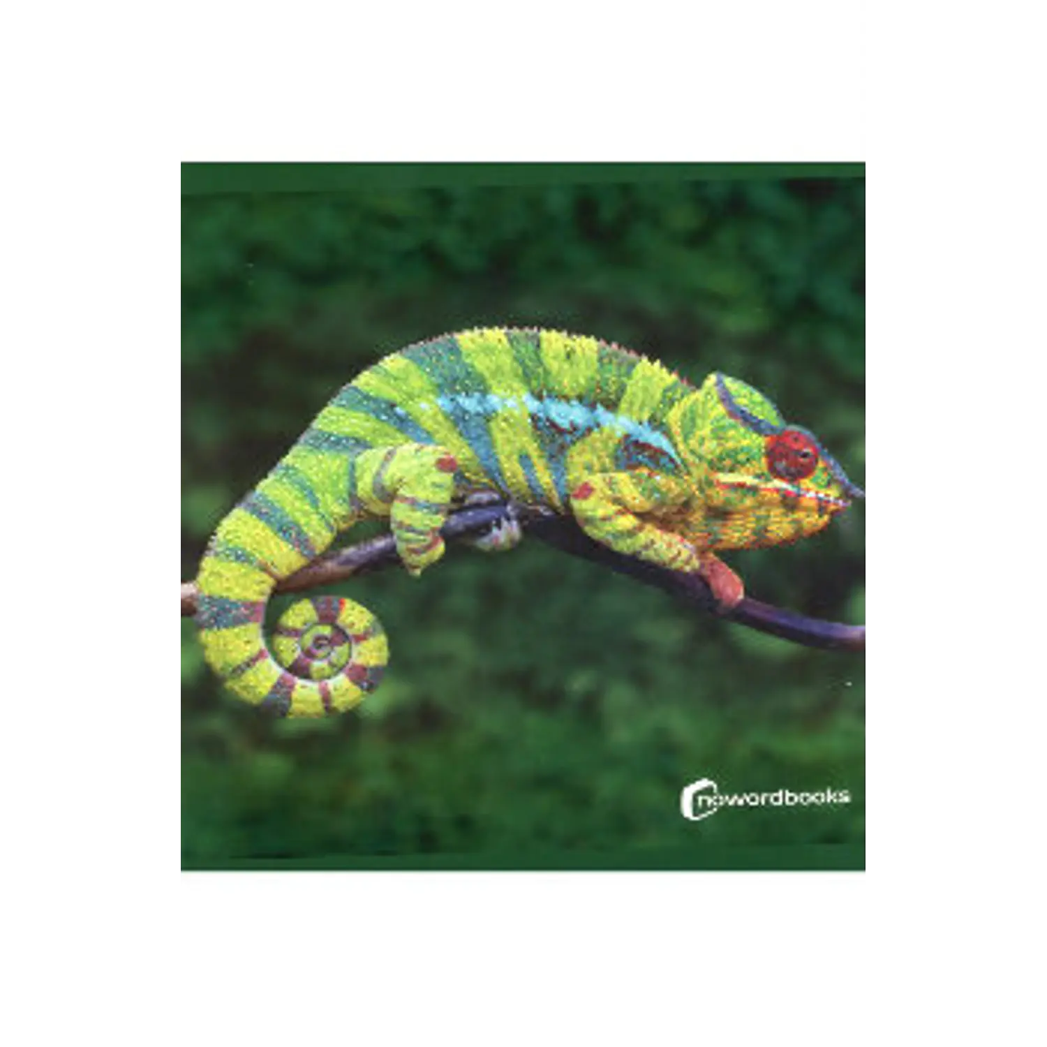Animales De La Selva
