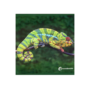 Animales De La Selva