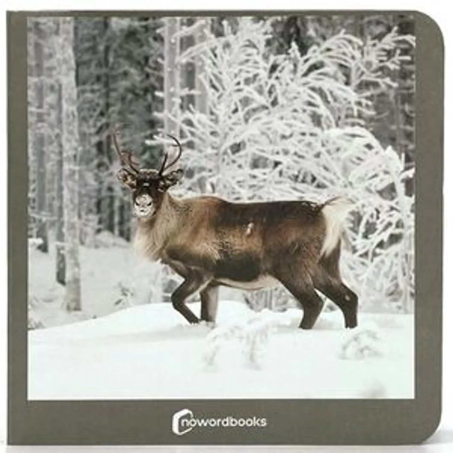 Animales Polares
